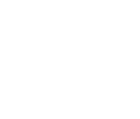 NISSAN INTER STAR