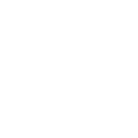 VW T5 – 5 VITEZE
